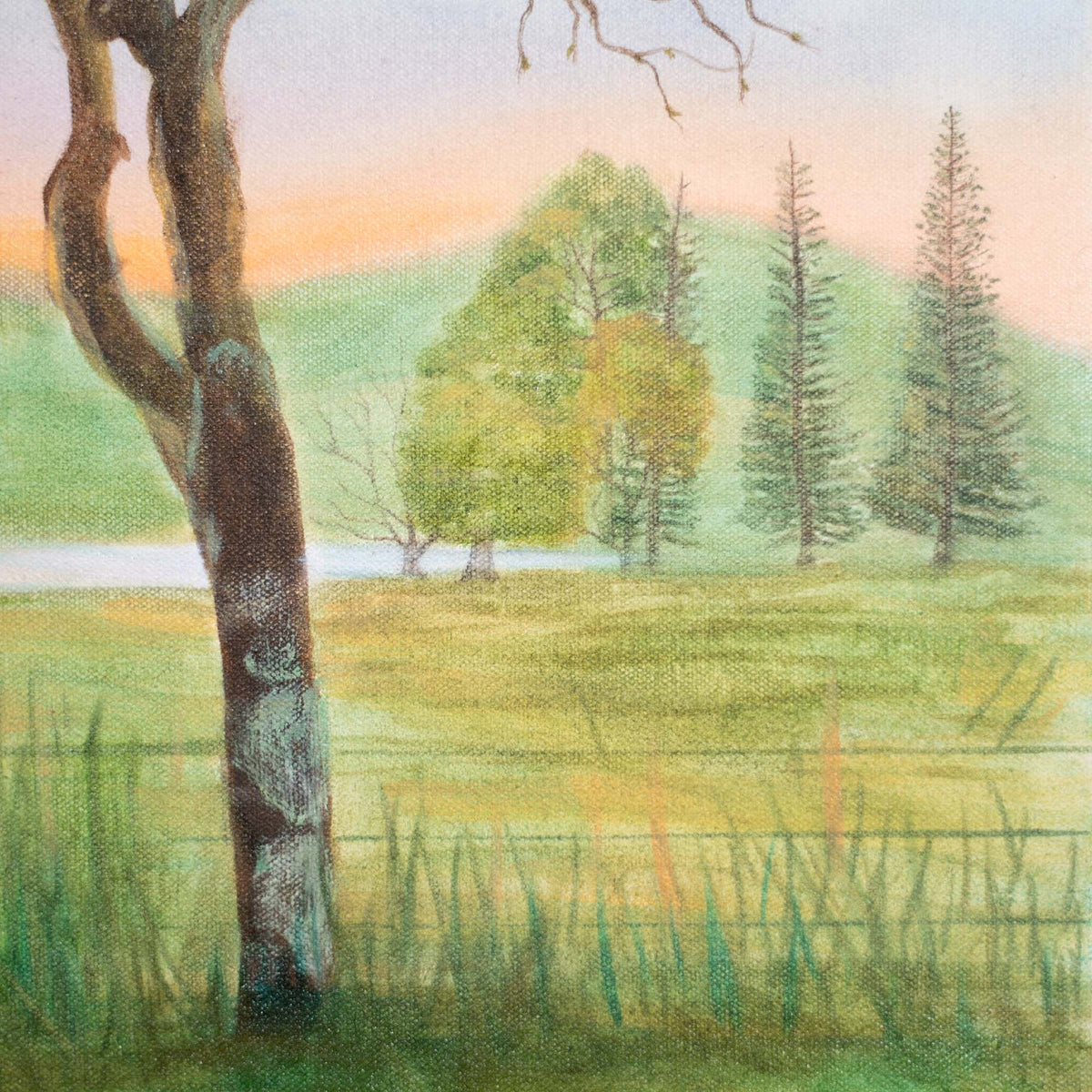 Sluice Creek